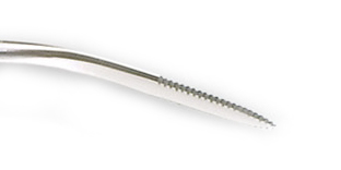 Periotomo anteriores