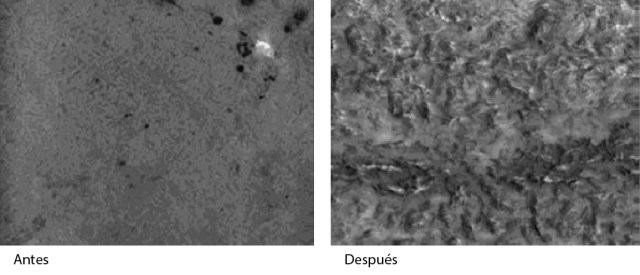 Porcelain Etch en disilicato (emax) - tiempo de uso-02